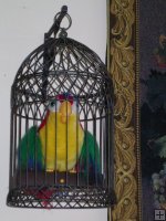 Bird Cage - Metal, Domed Bird Cage - Metal, Domed